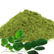 Moringa43